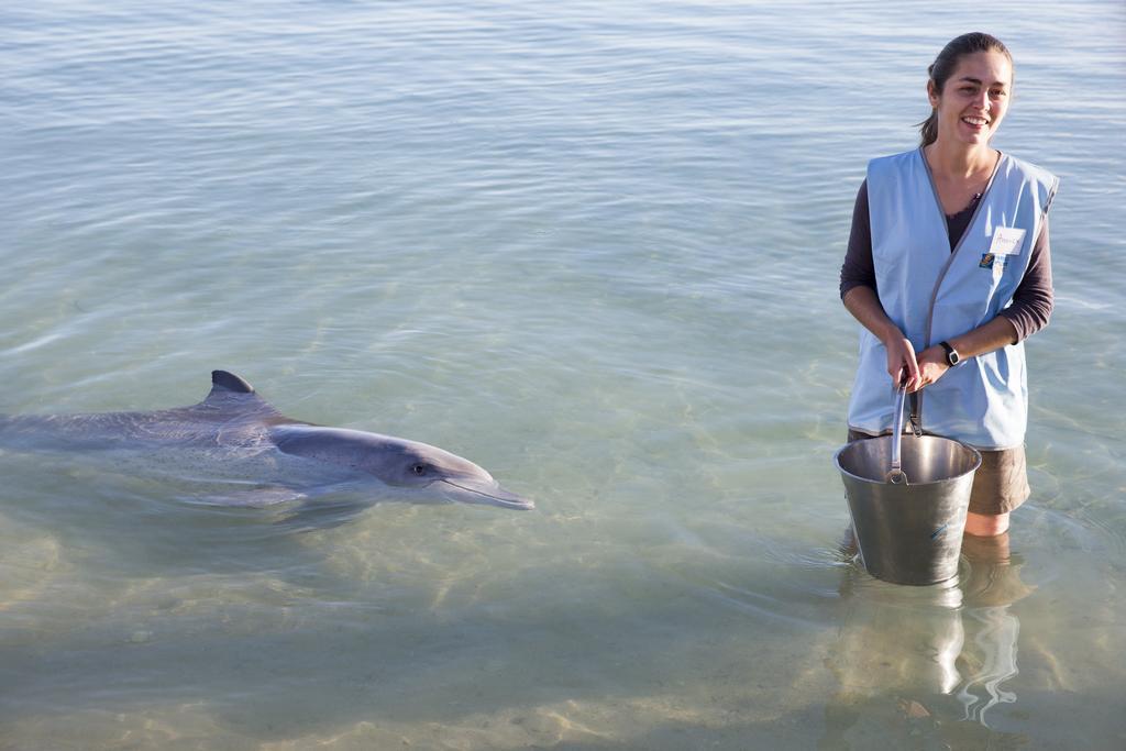 Rac Monkey Mia Dolphin Resort Εξωτερικό φωτογραφία