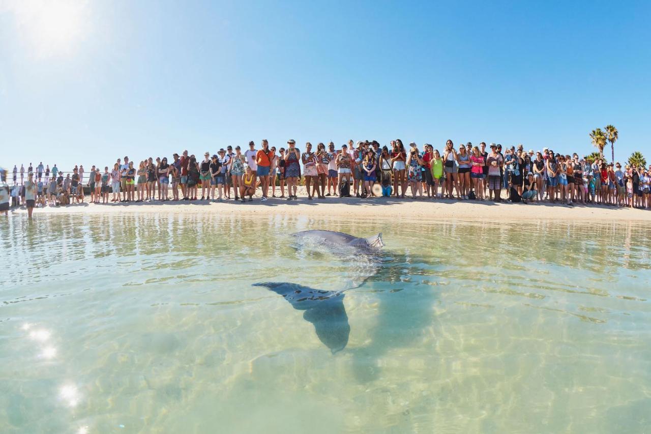 Rac Monkey Mia Dolphin Resort Εξωτερικό φωτογραφία