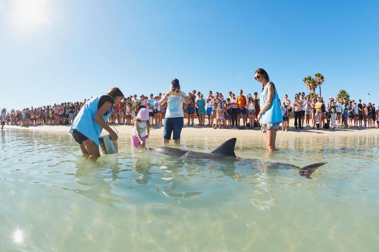 Rac Monkey Mia Dolphin Resort Εξωτερικό φωτογραφία